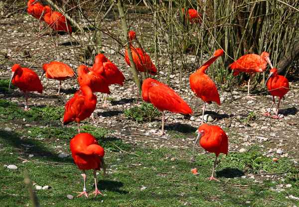 Sich Zeit nehmen für...