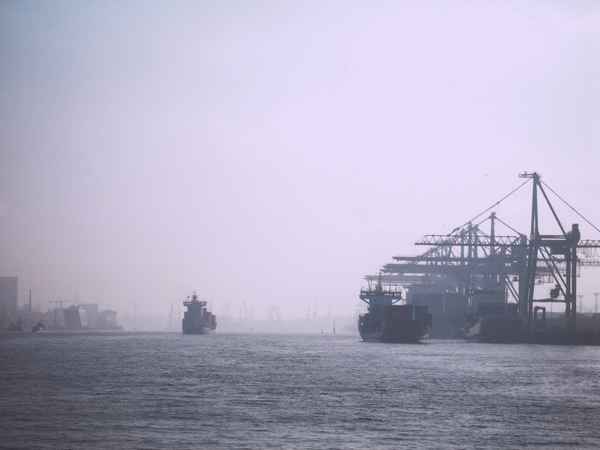 Morgennebel im Hafen
