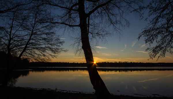 Winter am Weiher