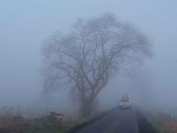 im nebel unterwegs
