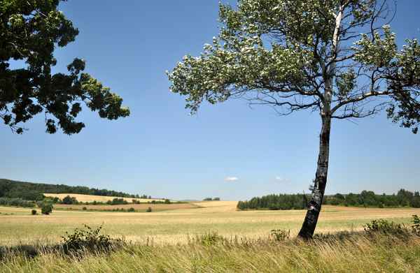 Weite offene Landschaft