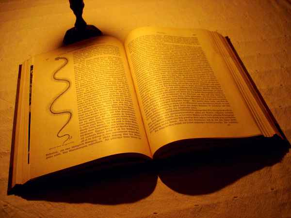 Alter Schinken - lesenswert