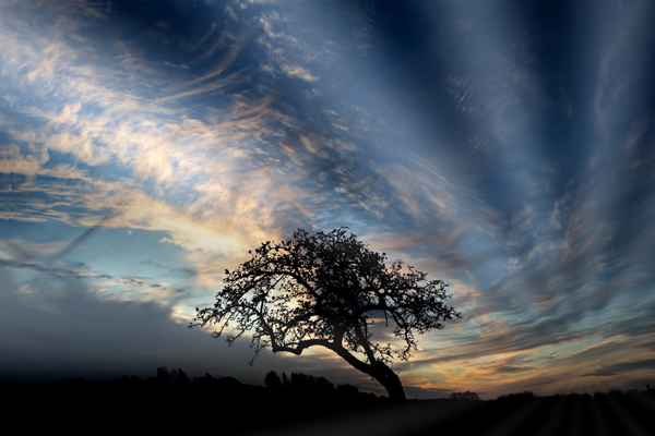 bewegter himmel 2