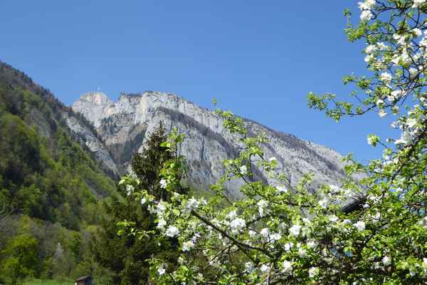Ausflugberg Hoher Kasten