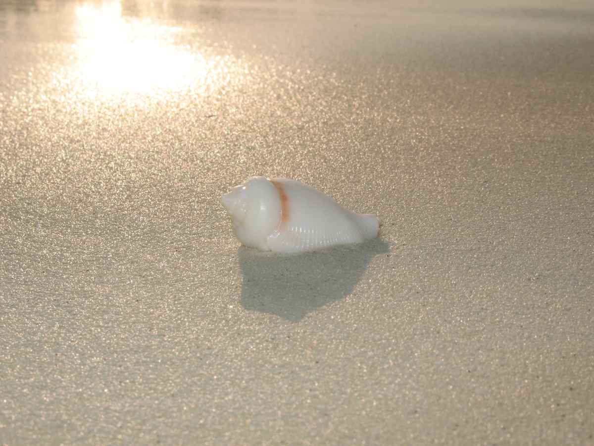 am Strand