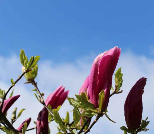 HEUTE GESCHLOSSEN II