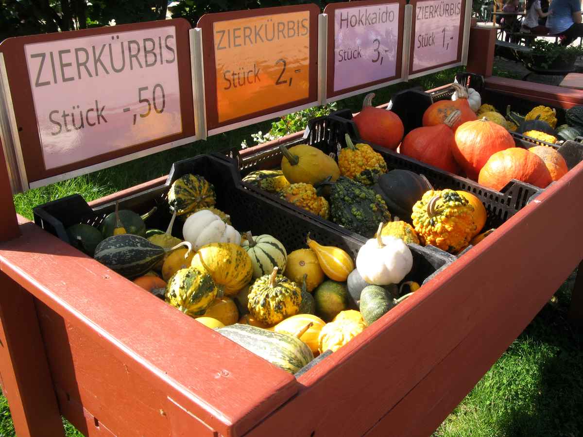 Zierkürbisse