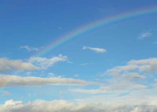 Regenbogen