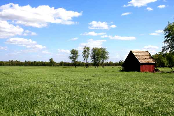 Kleine Hütte mit Freiblick 2