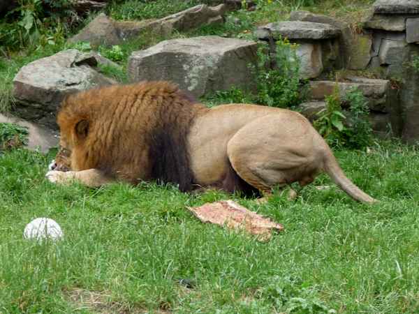 Beim Fressen nicht stören!
