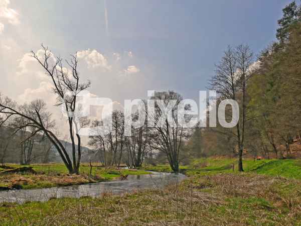 die Sinn bei Bad Brückenau