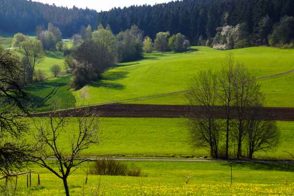 Warten auf Frühling