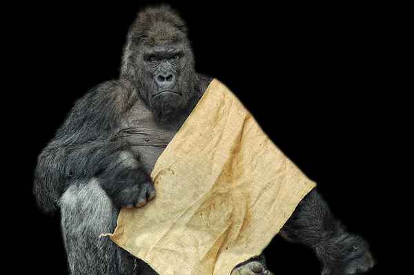 das neue Sparprogramm