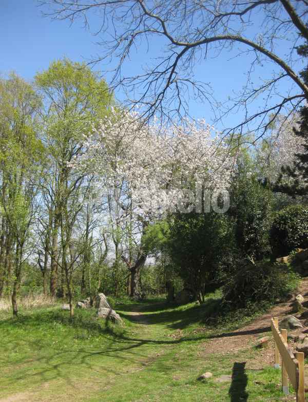 Geopark Dormagen