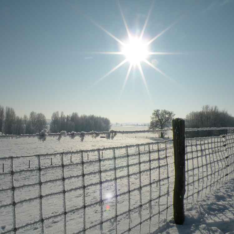 Winterimpressionen 16