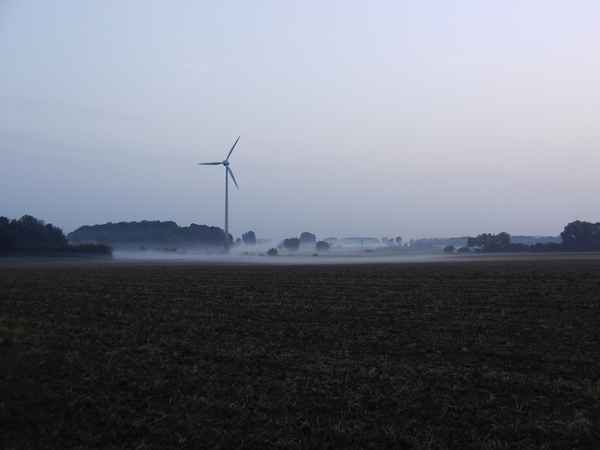 Nebel am Morgen