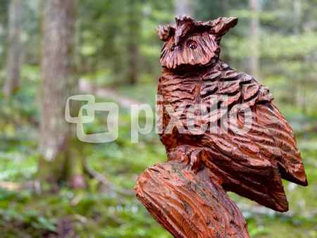 Waldkauz als Schnitzerkunst