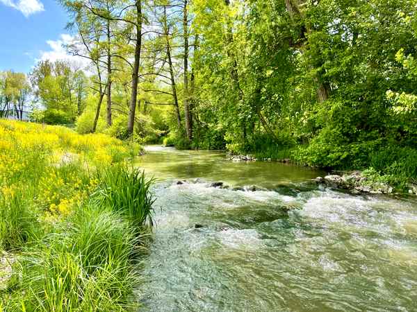 Frühling an der renaturierten Waldach