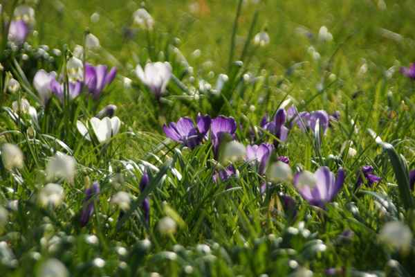 Frühling