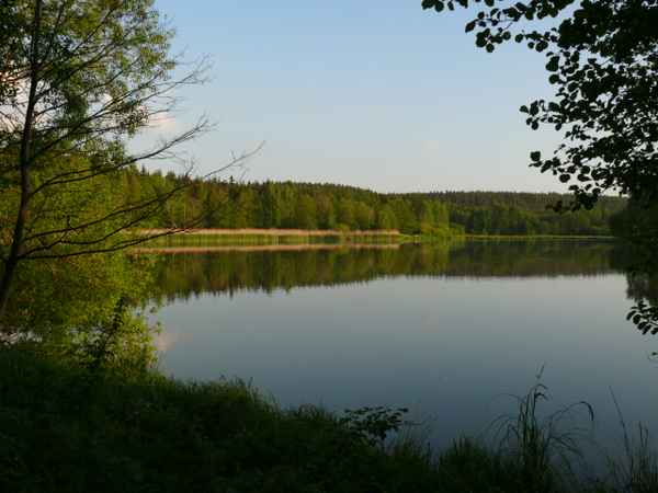 Spieglein Spieglein im Wasser