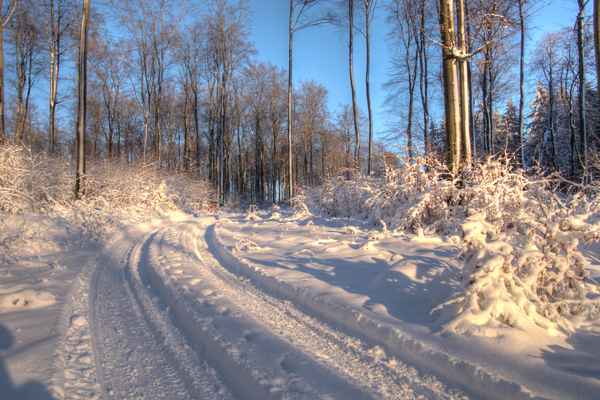 Zwei Spuren im Schnee