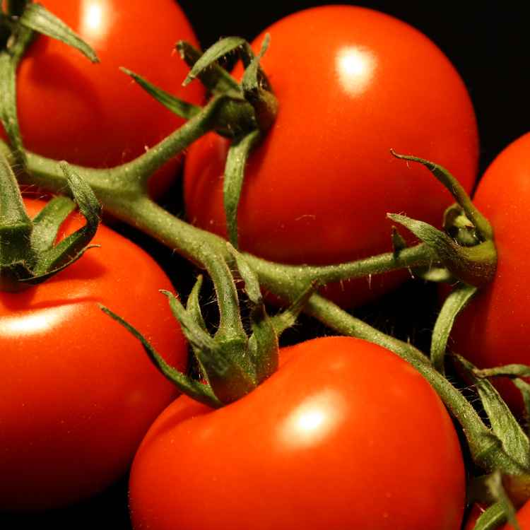 Tomaten