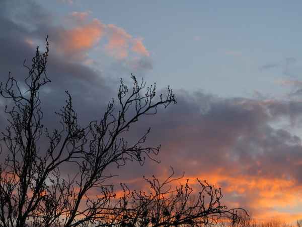 Sonnenuntergang am Abend