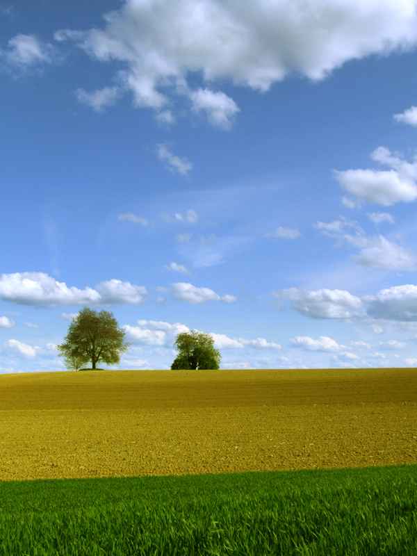 Im Märzen der Bauer_1 (hoch)