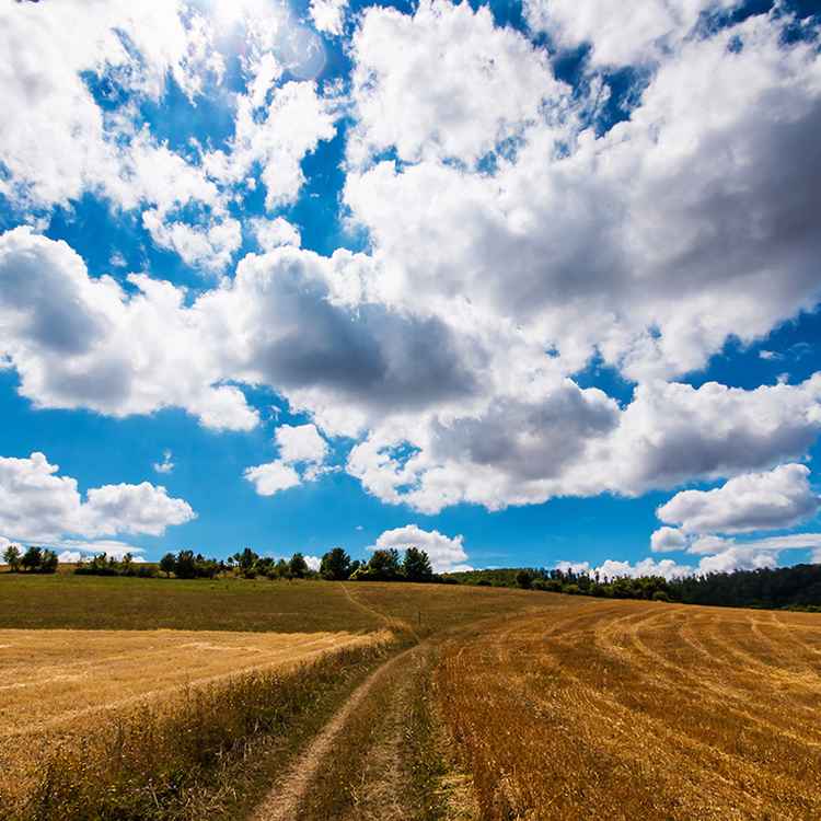 Sommer ist Vergangenheit