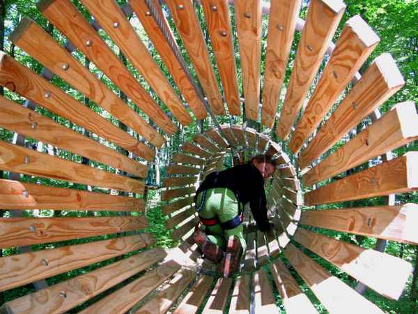 Mutprobe Kletterwald