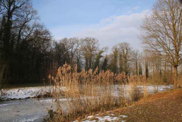 morgens am see...3...