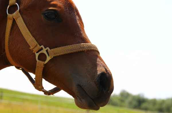 Ich bin noch klein...