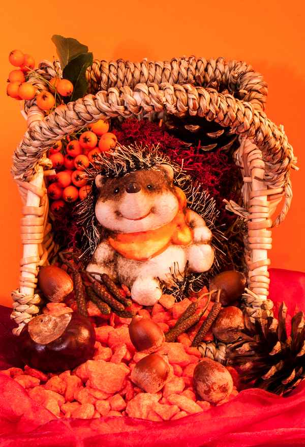 Herbst-Igelchen