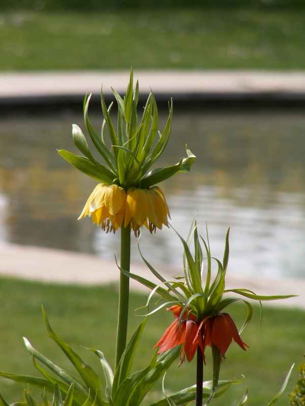 In Kaisers Garten...