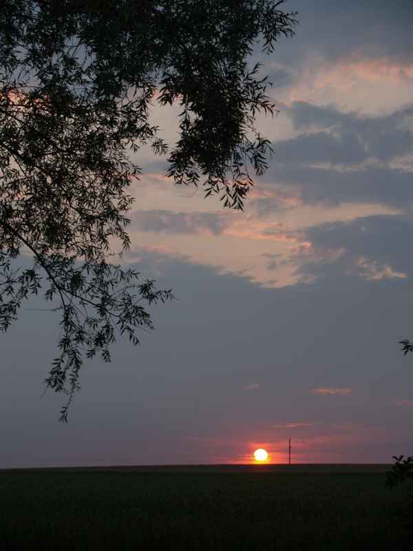Der Juniabendhimmel
