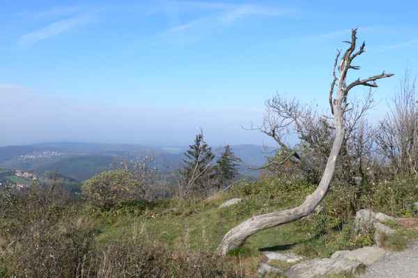 Blick vom Großen Feldberg