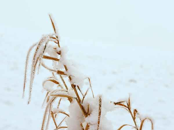 winterimpressionen 2