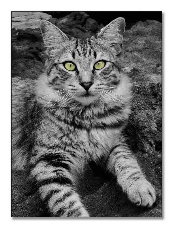 Ich habe alles im Blick!