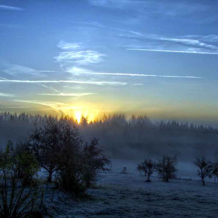 im Odenwald