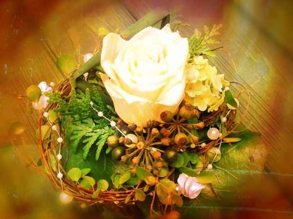 Rose in Sepia