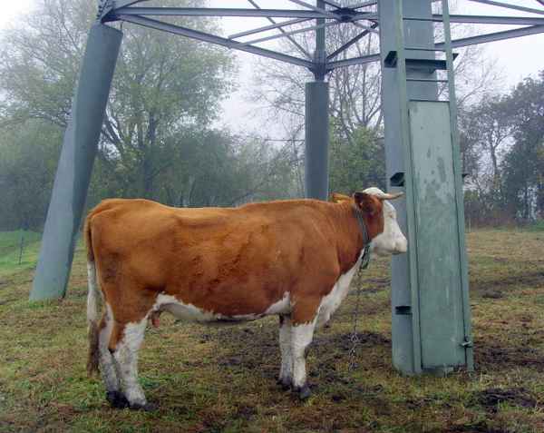 Natur und Technik
