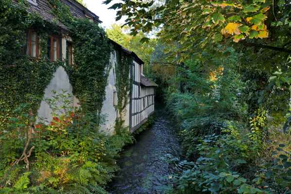 wildromantisch wohnen