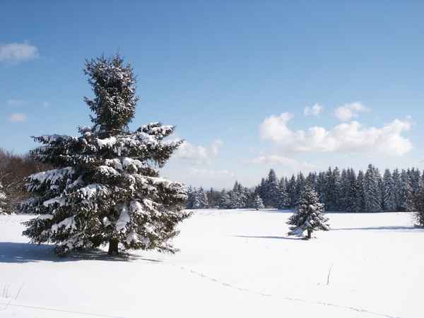 Winter in der Rhön