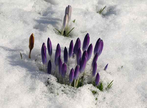 Winterkapriolen_2