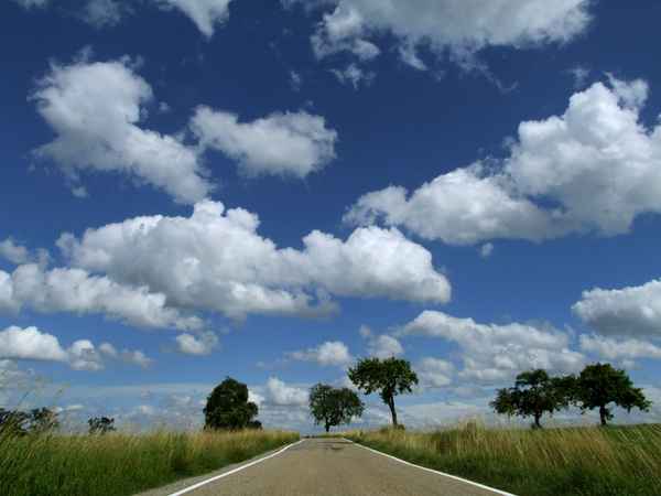 Fahrt ins Blaue