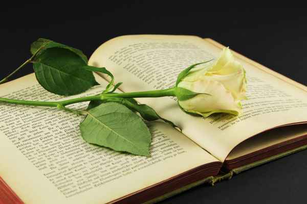 Aus Liebe zur Literatur