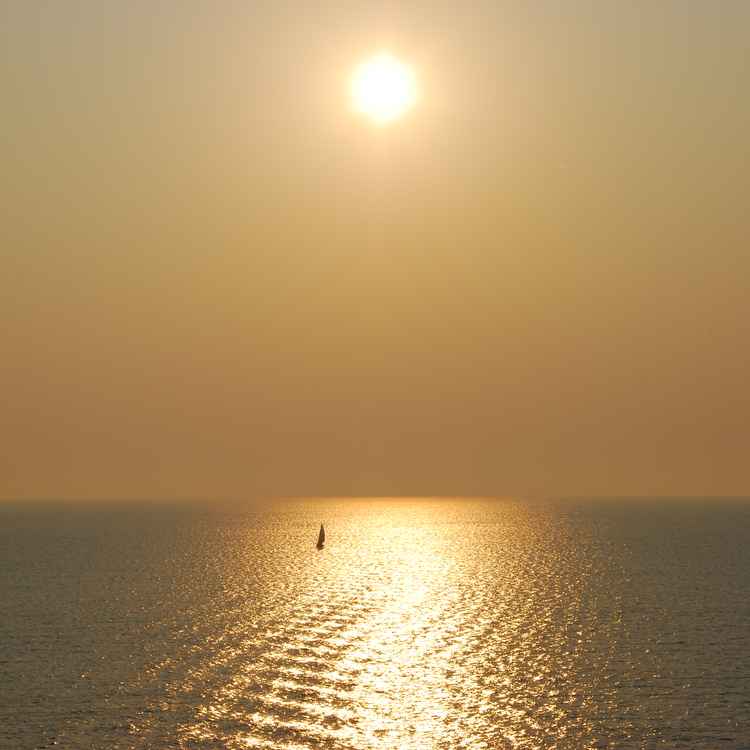Der Sonne entgegen