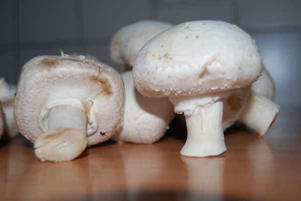 Champignons