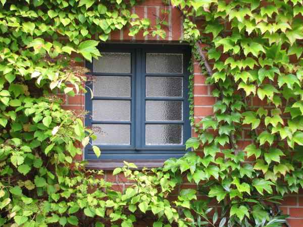 Durchblick