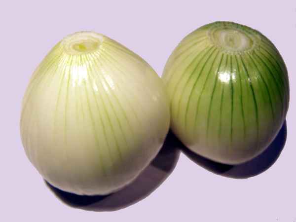 Zwiebeln geschält